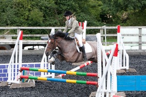 Class 4 - Fences 2'3 to 2'6